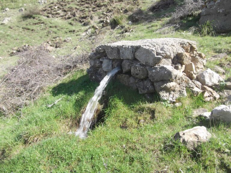 Thala, un mot simple, chargé de sens. En kabyle, il signifie « source d’eau pure ».